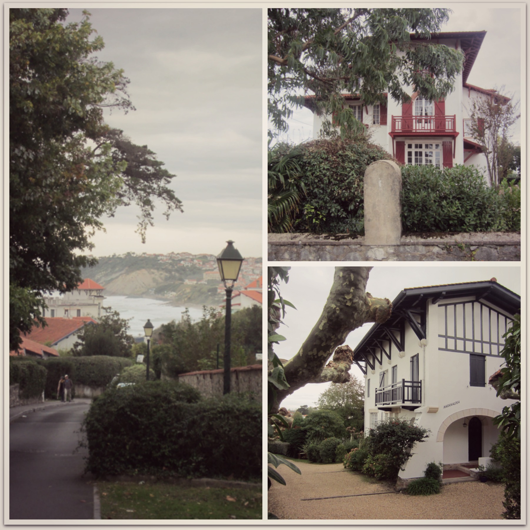 11PicMonkey Collage