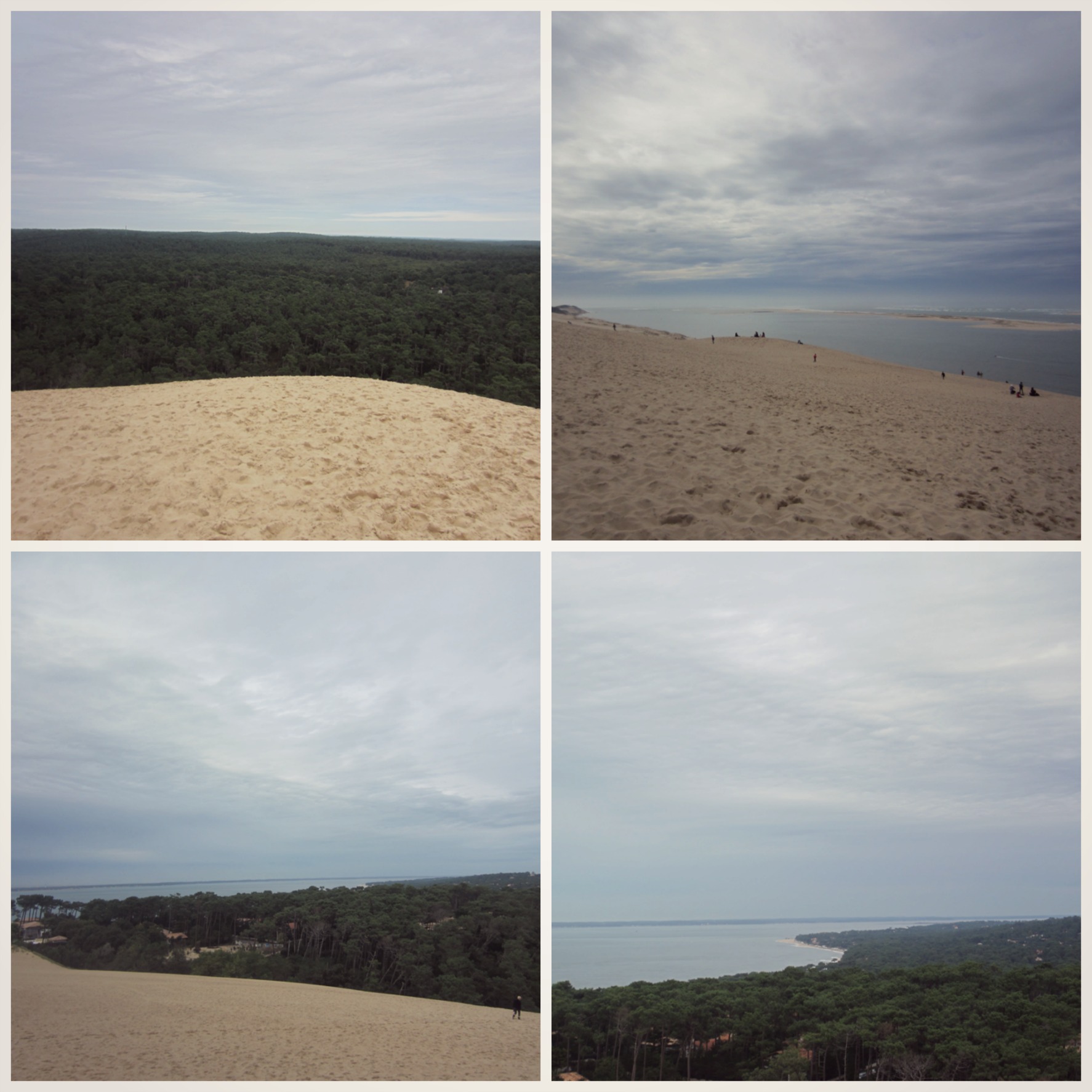 1PicMonkey Collage