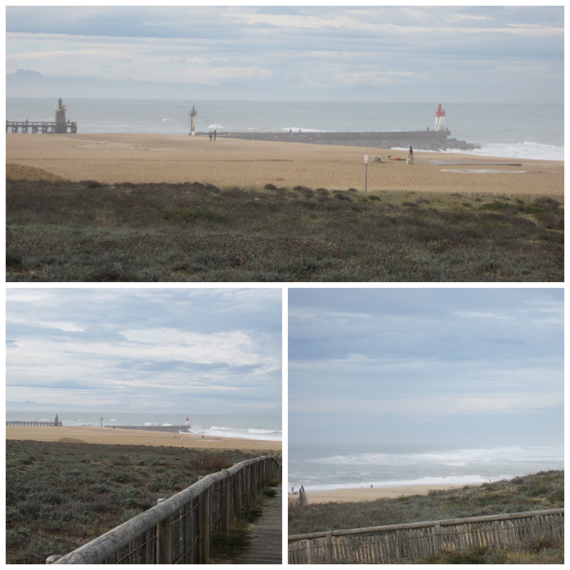 5PicMonkey Collage