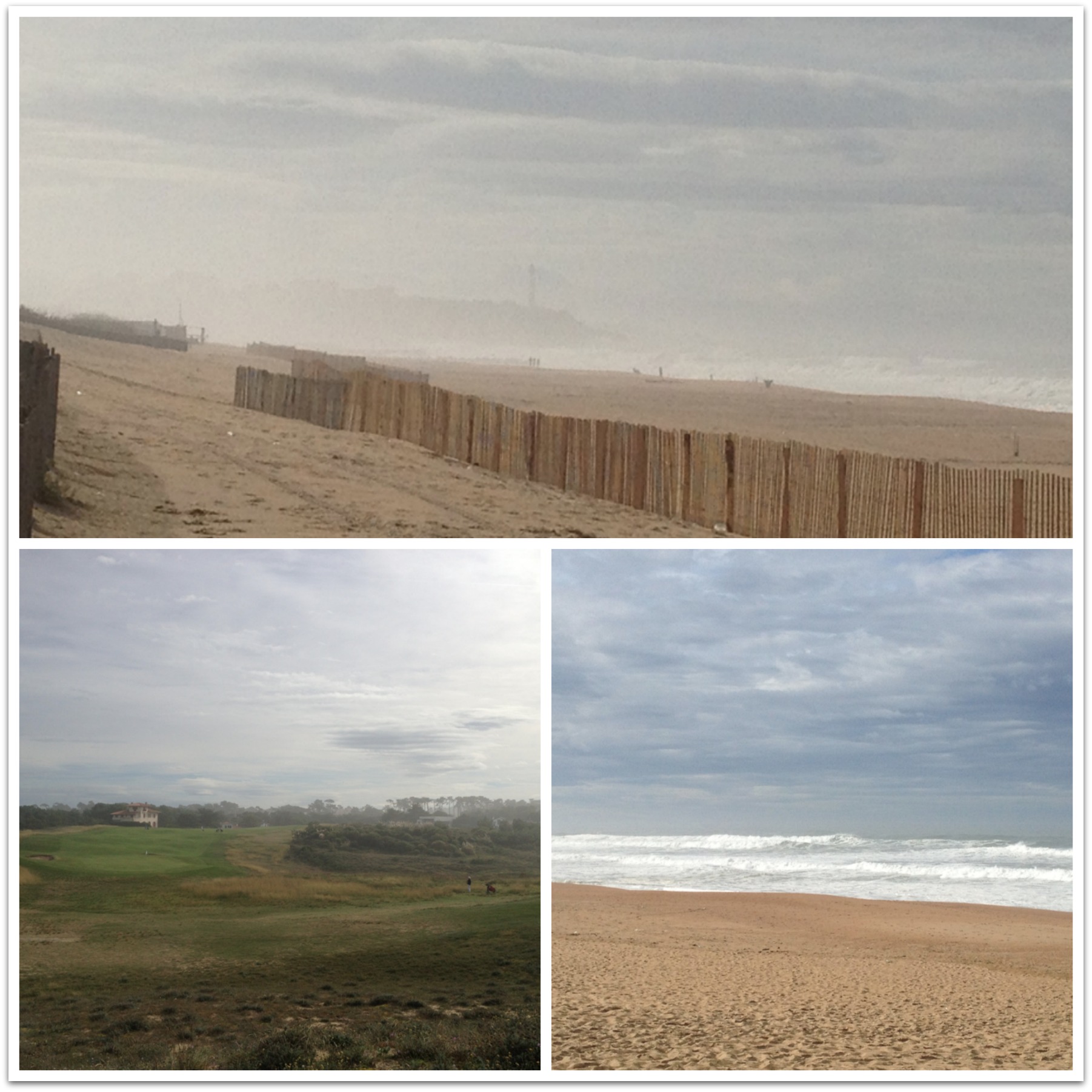 6PicMonkey Collage
