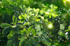 Teknologi Green Energy Solusi Masa Depan yang Berkelanjutan